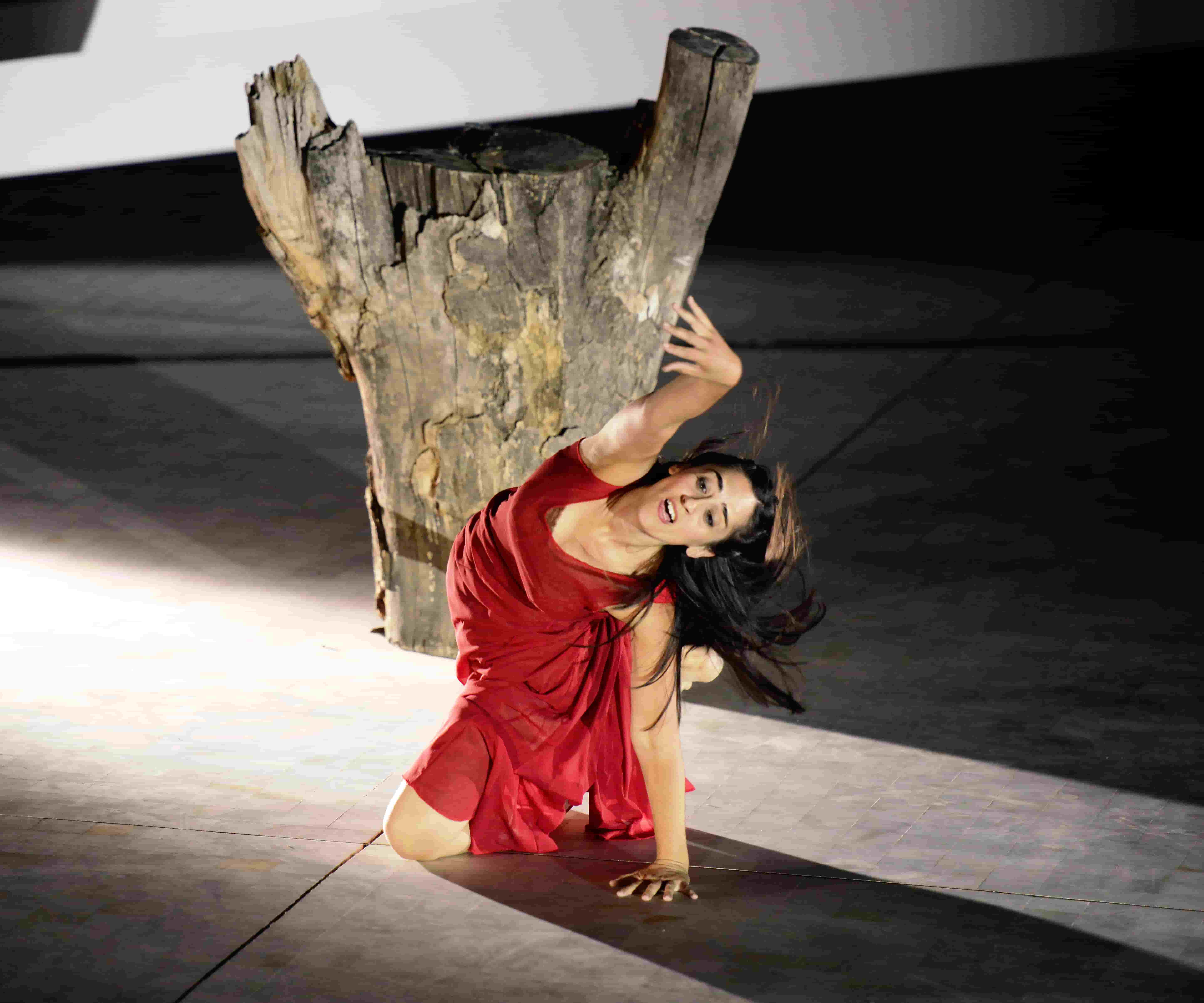 Salamandra cia teatro social biografía patricia trujillo(3)